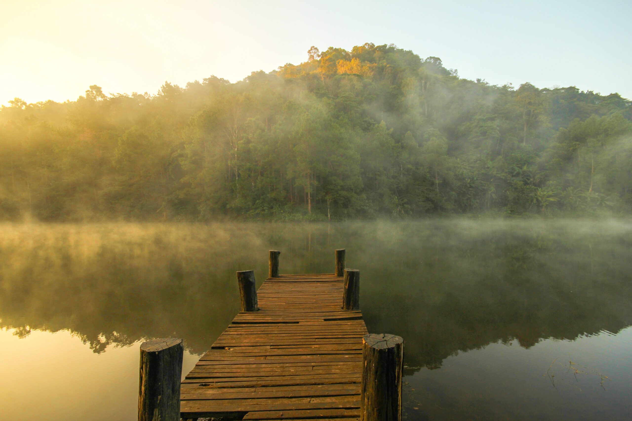 Finding Serenity and Strength in Nature’s Embrace